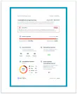 VulScan Executive Summary Report